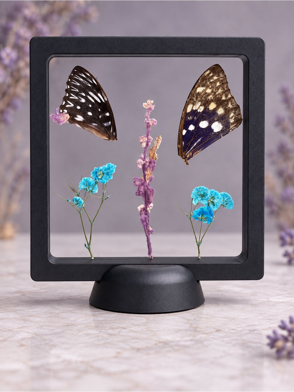 Real butterfly and botanicals dark fairy / oddities / botanical specimen display